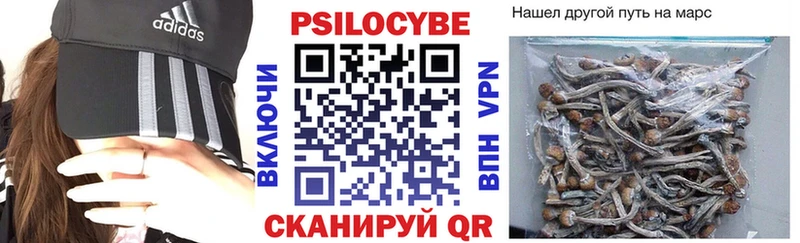 Псилоцибиновые грибы MAGIC MUSHROOMS  Наволоки 