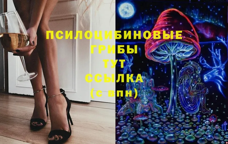 Псилоцибиновые грибы MAGIC MUSHROOMS  Наволоки 